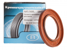 Rotary Shaft Seal AS 65x100x10 FKM DIN 3760 9905871895 (FORTSCHRITT)