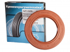 Rotary Shaft Seal AS 65x100x10 FKM DIN 3760 9905871895 (FORTSCHRITT)