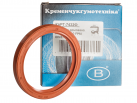 Rotary Shaft Seal AS 65x80x10 FKM DIN 3760