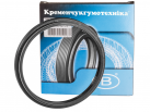 49-2602024 Rear axle gearbox oil seal with two springs 154x176x11x18